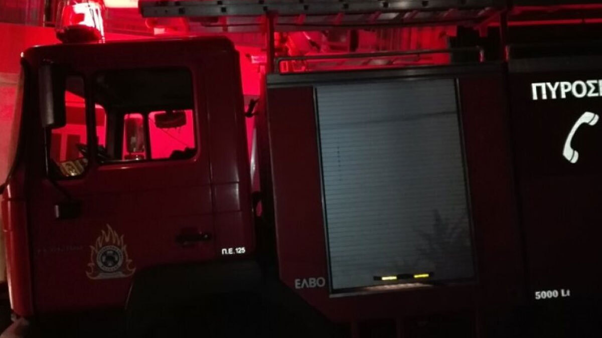 Συγκλονιστική επιχείρηση διάσωσης στη Χαλκίδα: Πυροσβέστες έσπασαν το τζάμι για να σώσουν άνδρα που κατέρρευσε στο σπίτι του