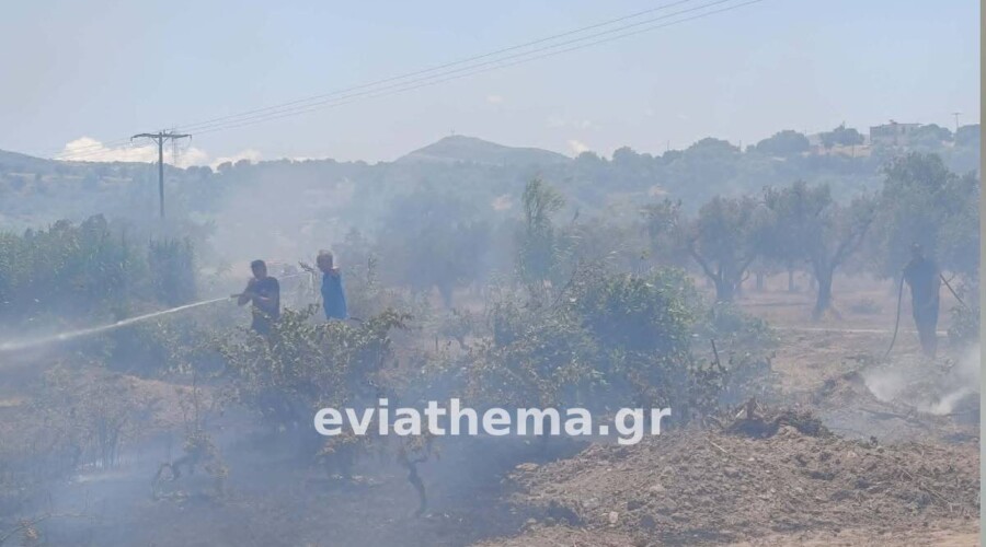 Μεγάλη φωτιά στη Λάτα Αλιβερίου: Μήνυμα 112 για εκκένωση